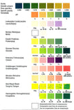 Chemstrip® 10 Urinalysis Strips - 100/bx