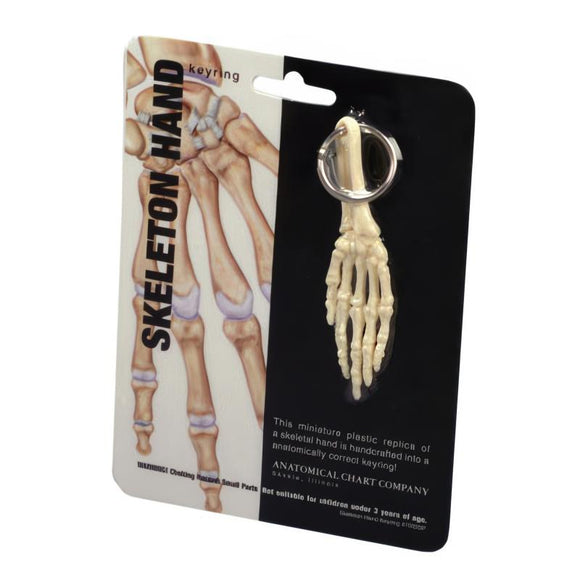 Anatomical Skeleton Keyring