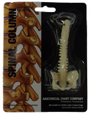 Anatomical Skeleton Keyring